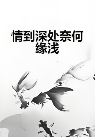 《向来情深，奈何缘浅》