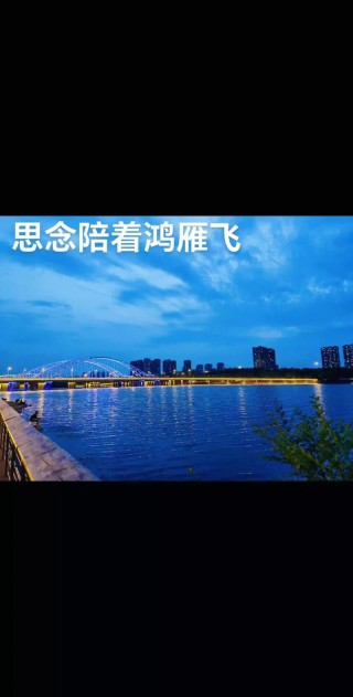 飘飞的思念
