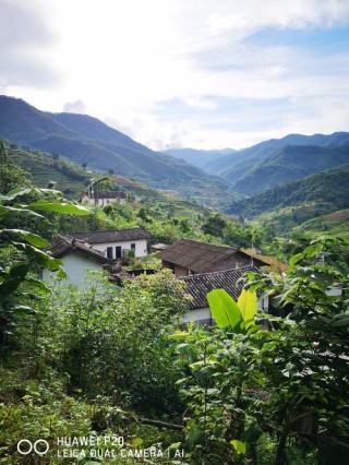 密林深处有人家