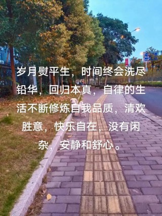 回归生活本真经典语录（形容回归生活本真的语句成语）