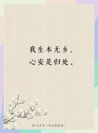 回首无憾最心安