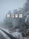 内蒙古天气：低温8℃冻得直哆嗦，“颤抖式”降温开始了！