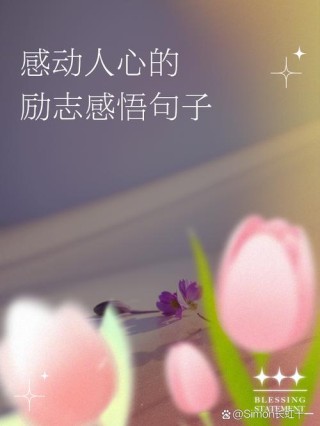 打动人心的感悟，打动人心的感悟之旅