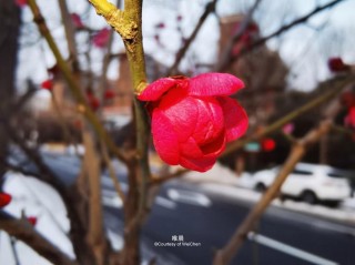 春天里的温情体验