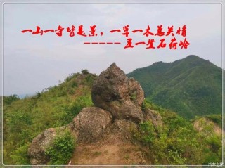 一水一山总关情