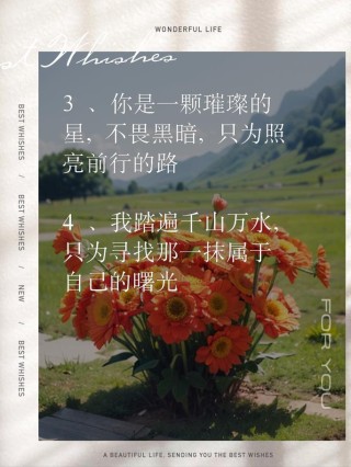 励志成长的经典句子，励志成长，经典句子启迪人生