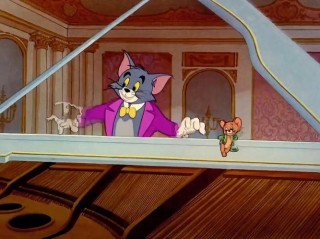 我家的猫和老鼠