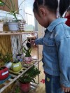 学会从朋友那里学习