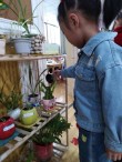 学会从朋友那里学习
