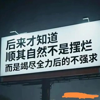 没有想过会怎么样，一天天浑浑噩噩的过去了