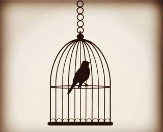 我是一只被囚禁的鸟，天边那抹晚霞，给了我飞向自由的翅膀