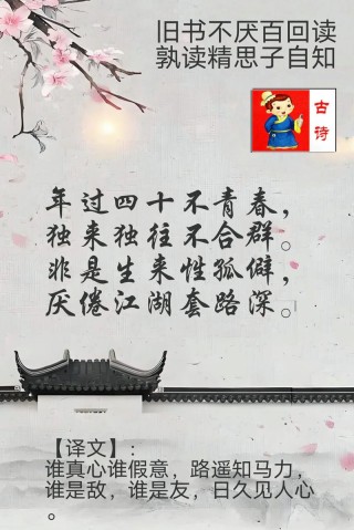 过而不往的青春