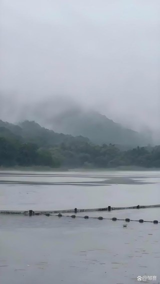细雨