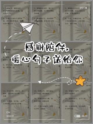 关于陪伴的短句——谁不需要陪伴？