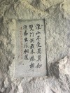 必到崖前刻上字 （打一字）