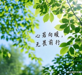 向阳而生，逐光而行，心有暖阳，不惧沧桑