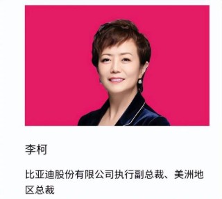 励志人物：王传福的第一桶金