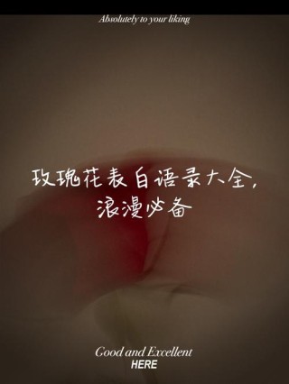 浪漫语录高级感，浪漫语录，情感的高级表达