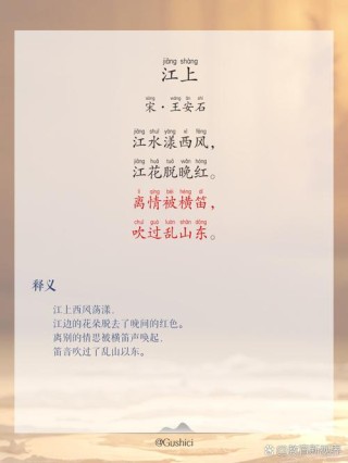 笛声依旧，芦苇飘摇