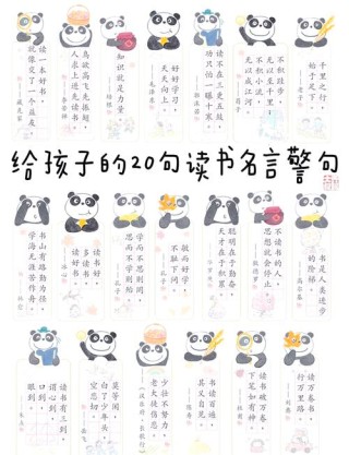 关于书的名言，关于书的名言，书海无涯，智慧无穷。