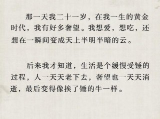 王小波经典语录