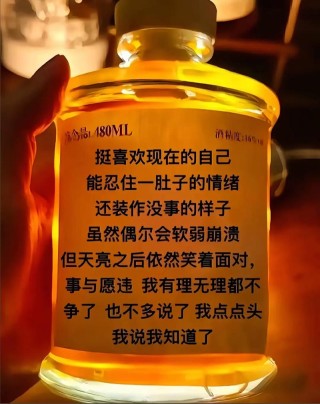 假如人生不曾相遇