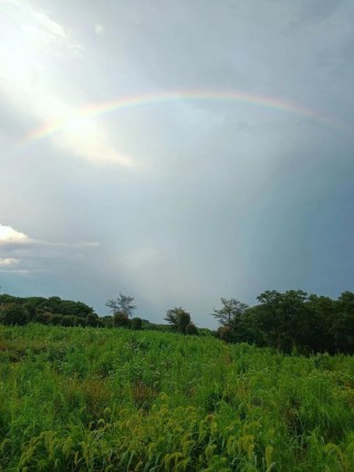 风雨过后是彩虹