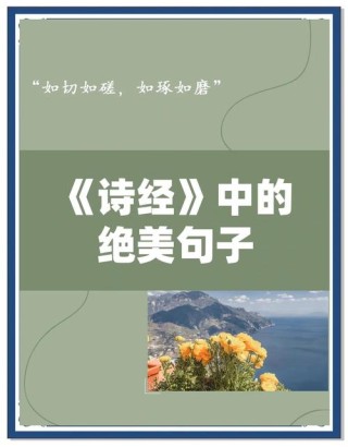 《诗经》中的40个神句，无关爱情，句句说透人生