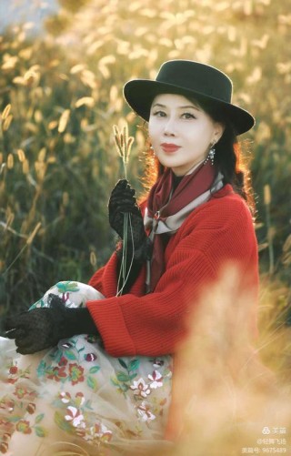 作家在线｜姜贝：人生最美是清秋