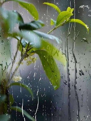 一窗秋雨落眉弯