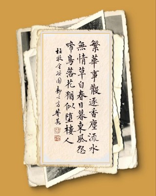漫卷时光，笔墨留香