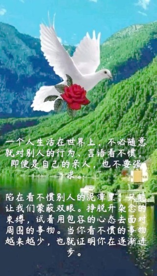 “值得一看的经典人生感悟句子，富有哲理”