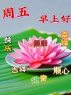 周五早安，冬日安康 早晨10条温馨祝福语，愿你平安健康、顺遂如意
