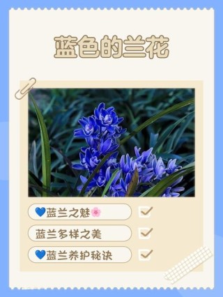 花花草草也是爱，万花盛绽见天蓝