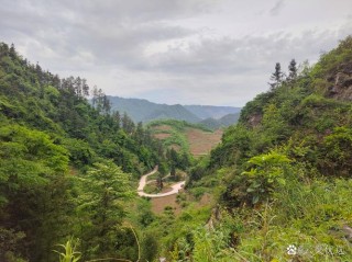 故乡的山路