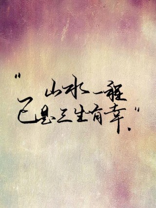 唯美情感语录，唯美情感，心之所向，情之所至的语录