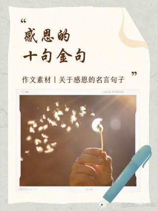 感恩名言名句大全，感恩的名言名句精选集