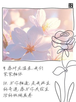 我想和你在一起，一辈子的文案