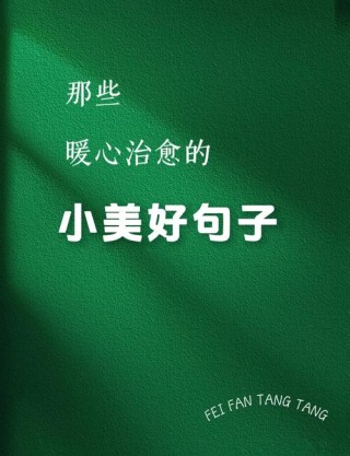 每日一句暖心语录，很暖很治愈的短句子
