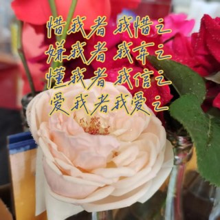 我爱你，用我的良心