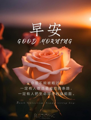 朋友圈最新网红早安语录，唯美走心，直抵心灵