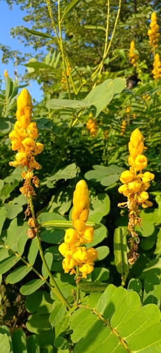 花花世界，唯我独行