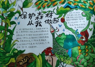 世界森林日｜守护地球“绿肺”，共筑美好家园