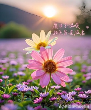 致2023——穿越曙光，拥抱你所爱的人间