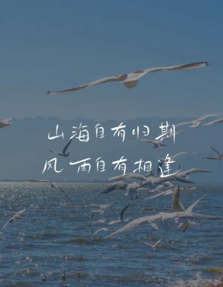遇一场海枯石烂，等一不归人。