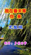 我在春天等你