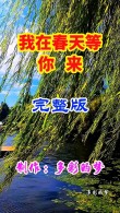 我在春天等你