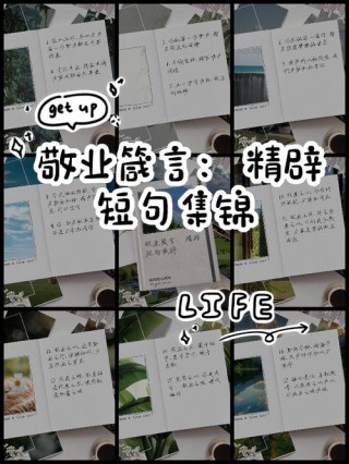 素材积累：形容默默奉献的诗句