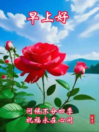 早上好早安祝福美图/岁月静好，愿你心有所安
