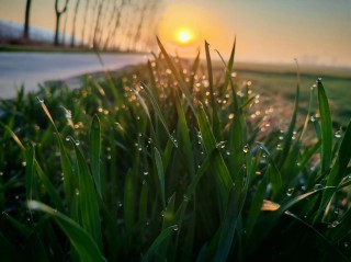 那一抹忧郁的阳光